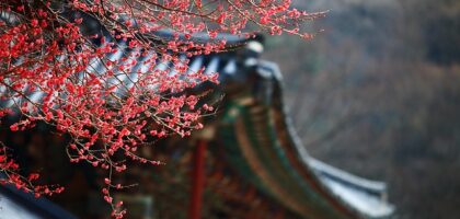 Ethereum staking Korea guide - Crypto
