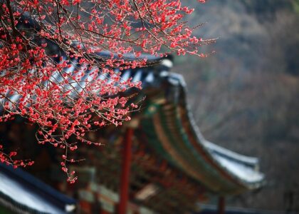 Ethereum staking Korea guide - Crypto