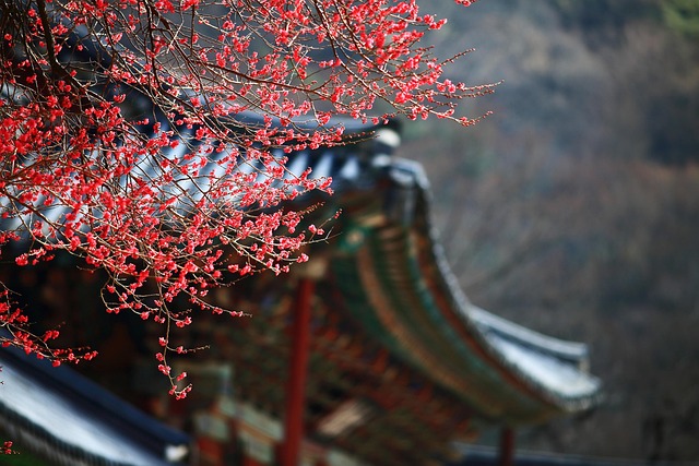 Ethereum staking Korea guide - Crypto