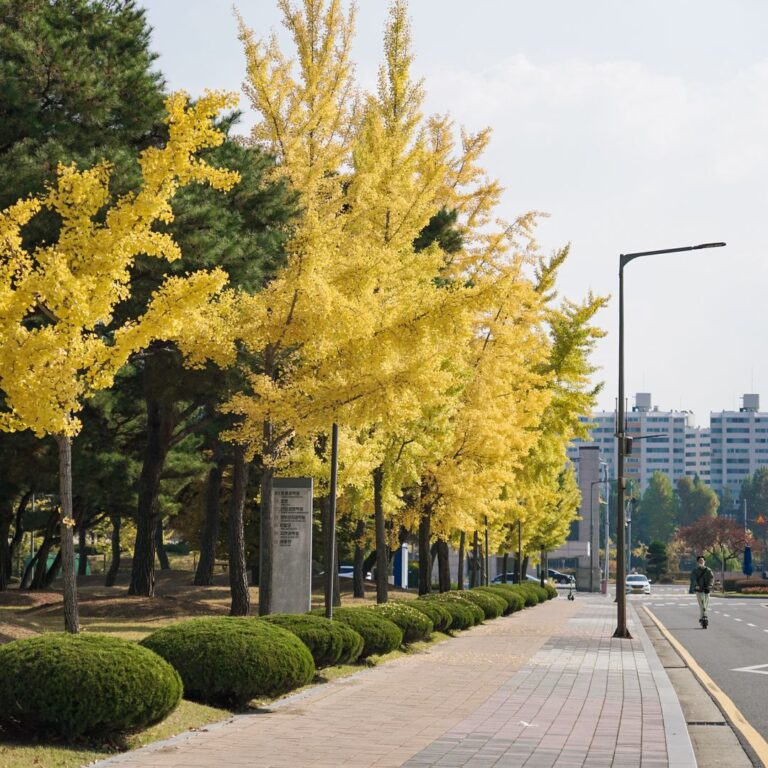 South Korea's Evolving Blockchain Policy and Digital Asset Framework